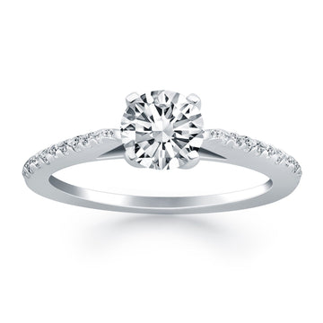 14k White Gold Micro Prong Diamond Cathedral Engagement Ring - Coolpeacock