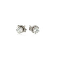 14k White Gold Diamond Four Prong Stud Earrings (1/4 cttw) - Coolpeacock