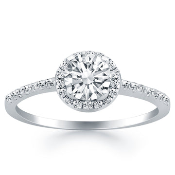 14k White Gold Diamond Halo Collar Engagement Ring - Coolpeacock