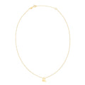 14K Yellow Gold Leo Necklace - Coolpeacock